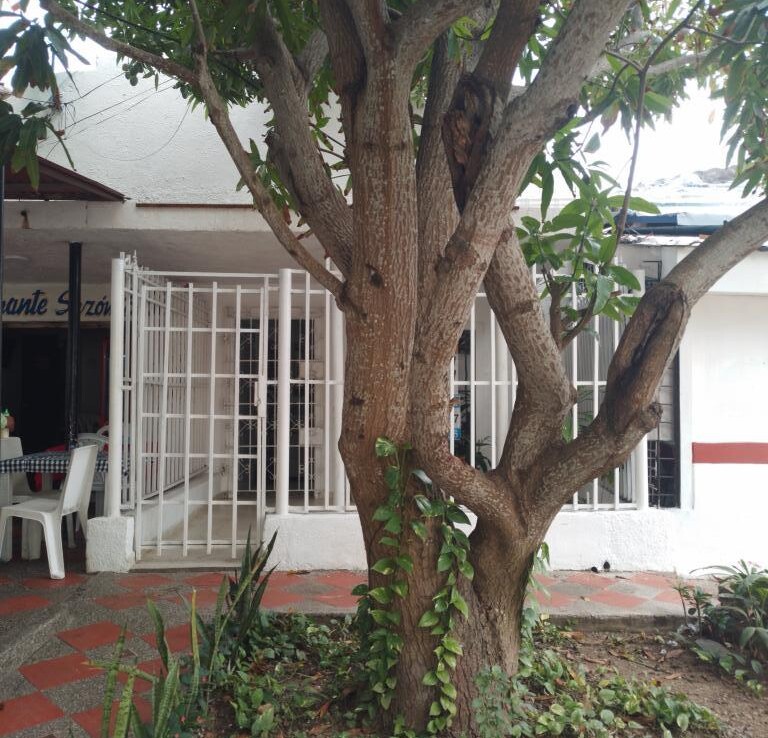 Inmobiliaria Issa Saieh Apartamento Arriendo, Colombia, Barranquilla imagen 17