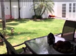 Inmobiliaria Issa Saieh Casa Venta, La Castellana, Barranquilla imagen 13