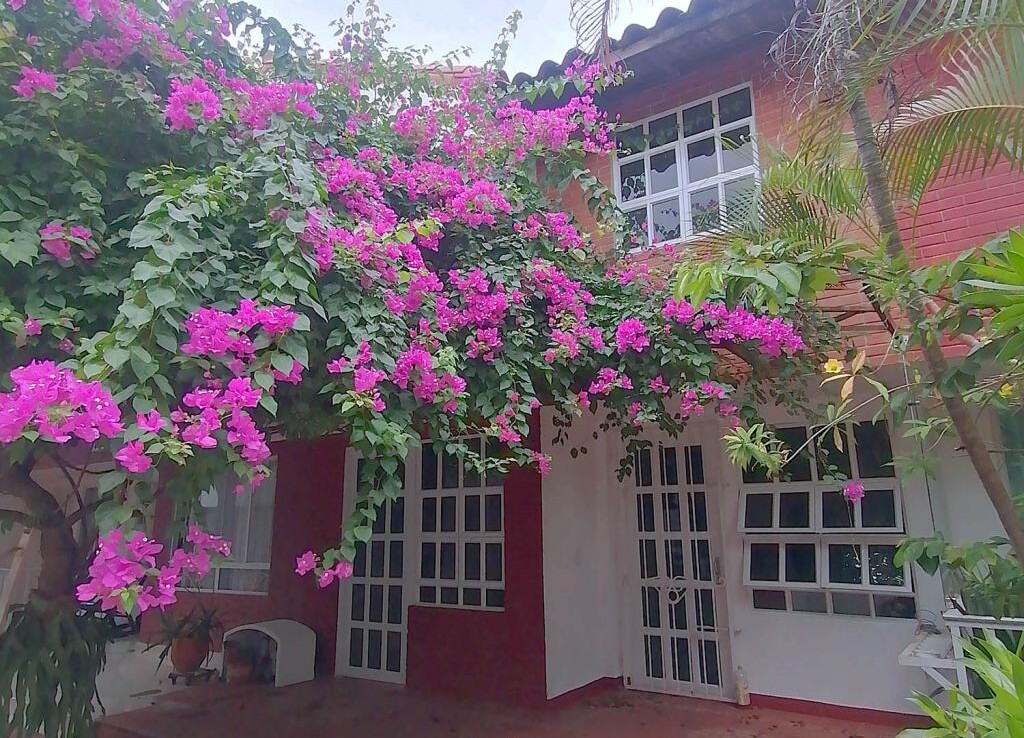 Inmobiliaria Issa Saieh Casa Arriendo/venta, Villa Carolina, Barranquilla imagen 0