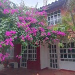 Inmobiliaria Issa Saieh Casa Arriendo/venta, Villa Carolina, Barranquilla imagen 0