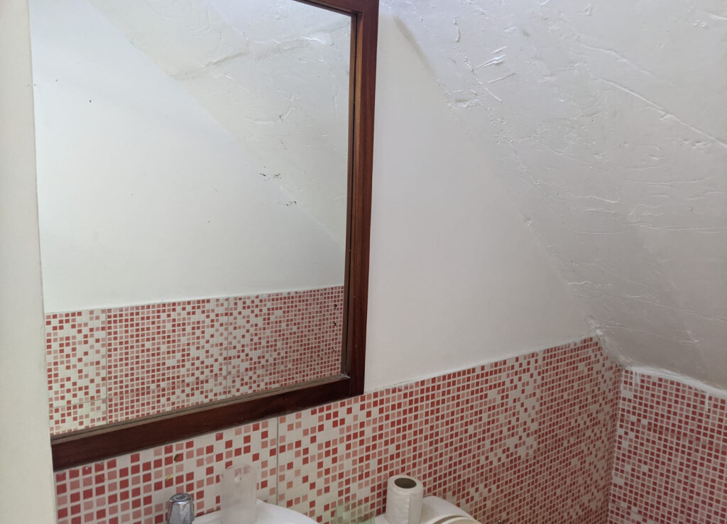 Inmobiliaria Issa Saieh Local Arriendo, El Prado, Barranquilla imagen 5