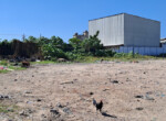Inmobiliaria Issa Saieh Lote Arriendo/venta, Barranquillita, Barranquilla imagen 3