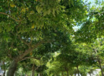 Inmobiliaria Issa Saieh Apartamento Venta, Miramar, Barranquilla imagen 23