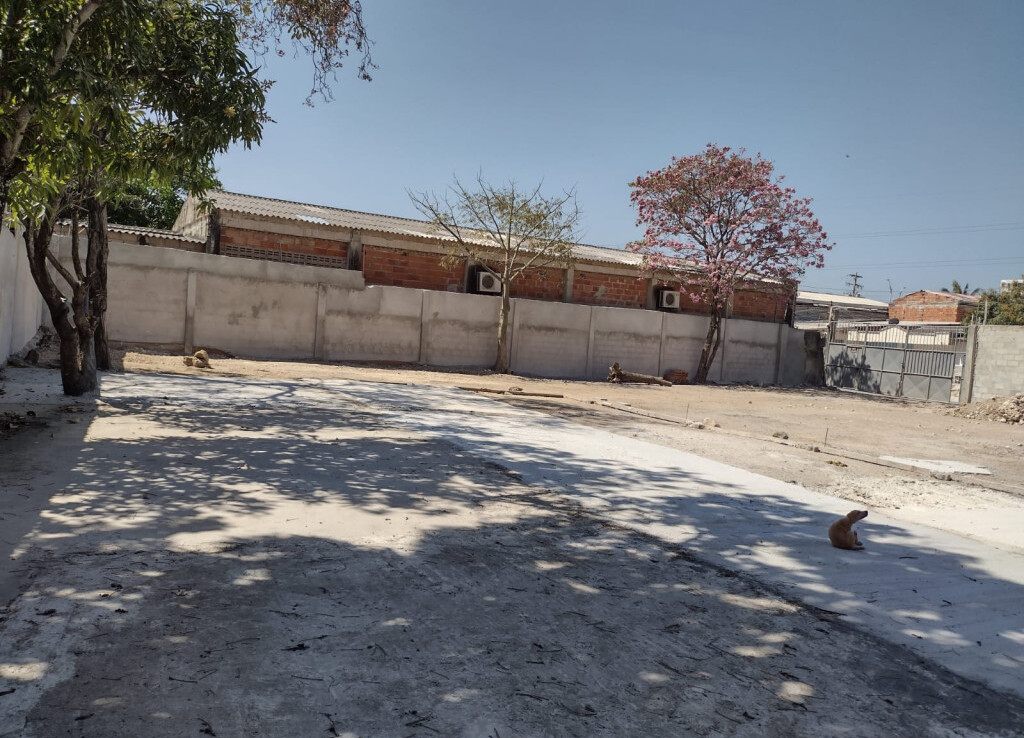 Inmobiliaria Issa Saieh Bodega Venta, La Paz, Barranquilla imagen 7