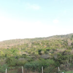 Inmobiliaria Issa Saieh Lote Venta, Bajo Maparten, Tubará imagen 0
