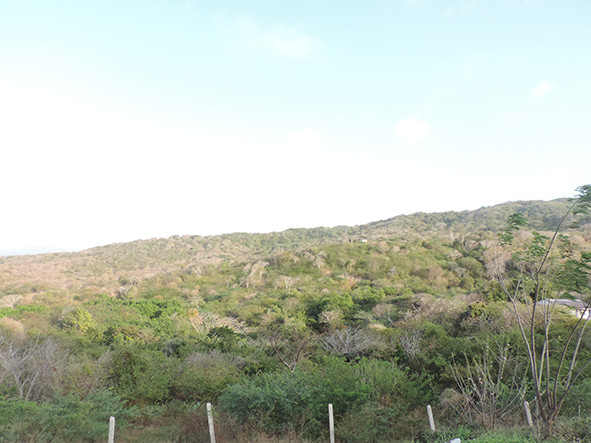 Inmobiliaria Issa Saieh Lote Venta, Bajo Maparten, Tubará imagen 0
