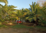 Inmobiliaria Issa Saieh Lote Arriendo/venta, Miramar, Puerto Colombia imagen 1