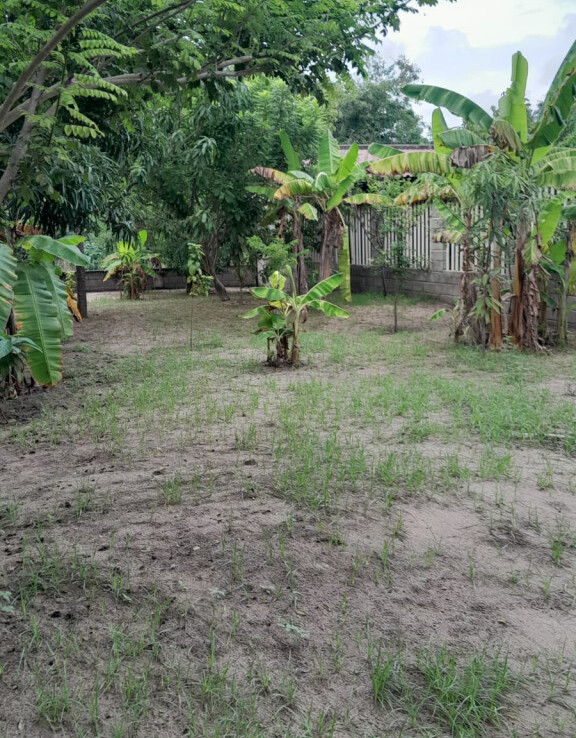 Inmobiliaria Issa Saieh Lote Venta, Villas Bendito Amanecer, Sabanagrande imagen 2