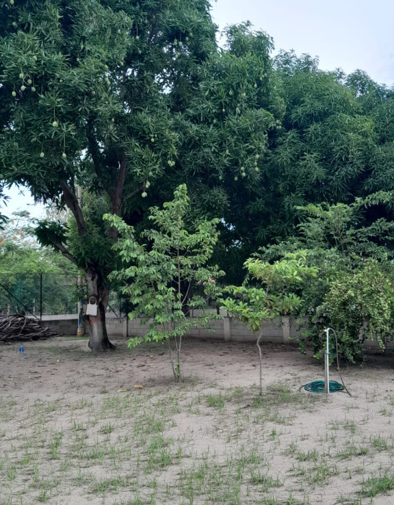Inmobiliaria Issa Saieh Lote Venta, Villas Bendito Amanecer, Sabanagrande imagen 3