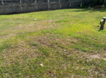 Inmobiliaria Issa Saieh Lote Venta, , Baranoa imagen 0