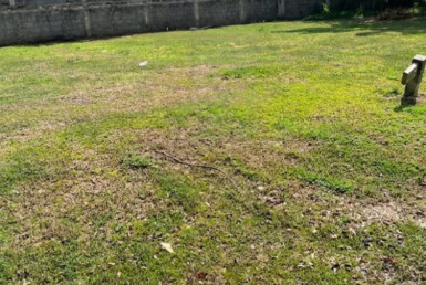 Inmobiliaria Issa Saieh Lote Venta, , Baranoa imagen 0