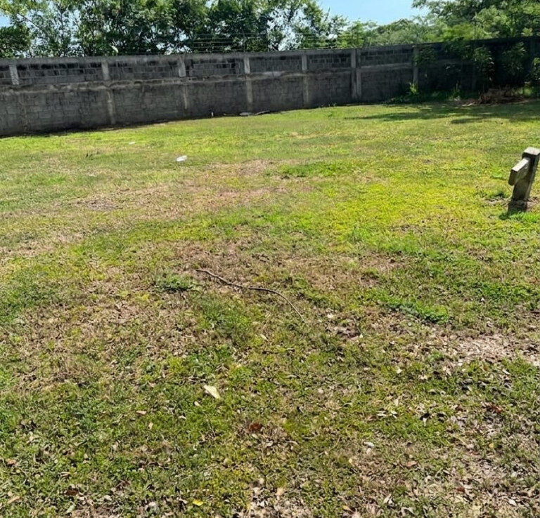Inmobiliaria Issa Saieh Lote Venta, , Baranoa imagen 0