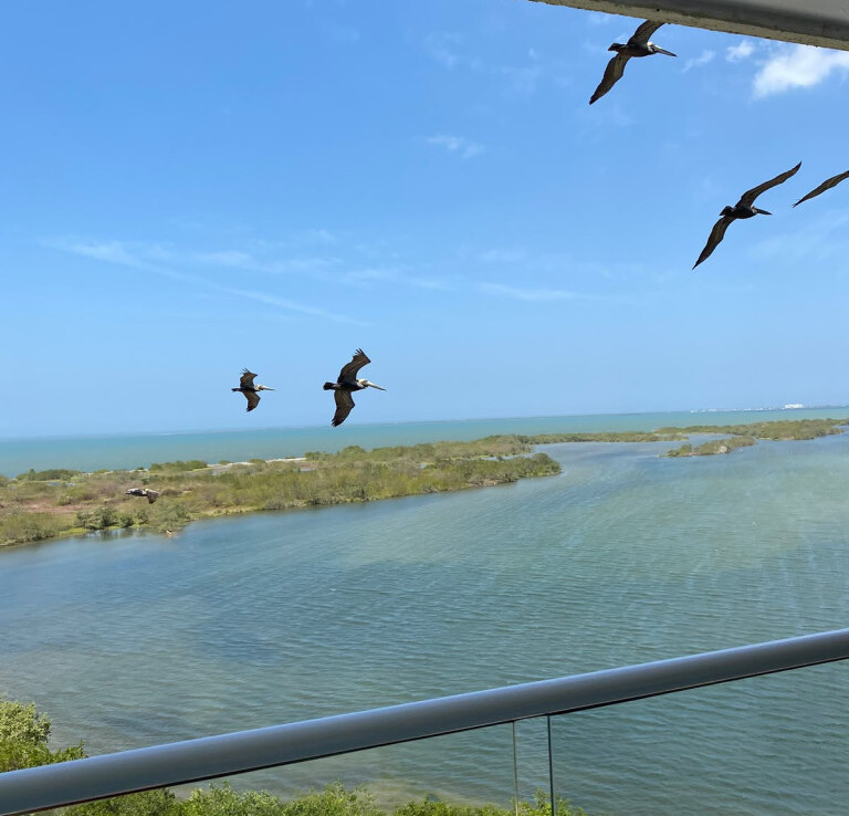 Inmobiliaria Issa Saieh Apartamento Arriendo, Playa Mendoza, Tubará imagen 4