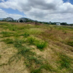 Inmobiliaria Issa Saieh Lote Venta, Tubará, Tubará imagen 0