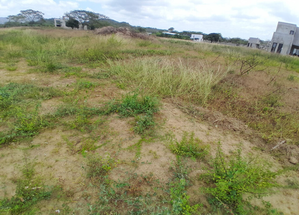 Inmobiliaria Issa Saieh Lote Venta, Tubará, Tubará imagen 1