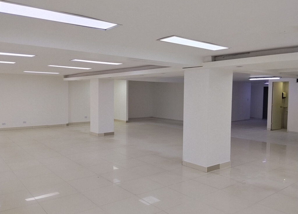 Inmobiliaria Issa Saieh Local Venta, El Prado, Barranquilla imagen 12